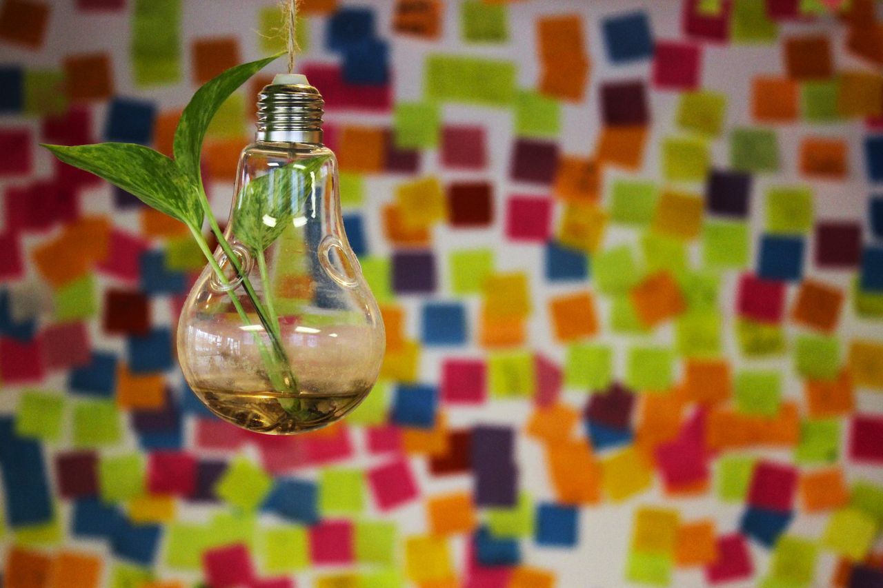 home-hero Hanging light bulb vase with greenery against colorful post-it notes.